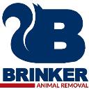 Brinker Animal Removal logo