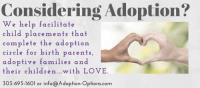 Adoption Options image 4
