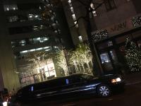 NYC Rich Limo image 5