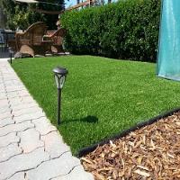 Turf Solutions image 3
