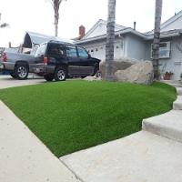 Turf Solutions image 4