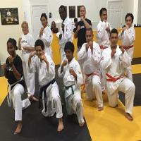United States Karate Academy image 2