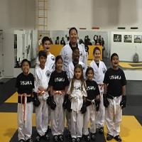 United States Karate Academy image 6