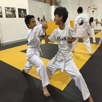 United States Karate Academy image 9