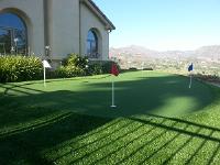 Quality Synthetic Turf image 6
