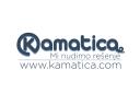 Kamatica Financial portal  logo