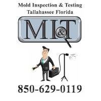 Mold Inspection & Testing Tallahassee FL image 1