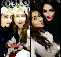 Apex Enhance XL image 1