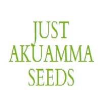 Just Akuamma Seeds image 7