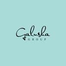 Galusha Group image 3