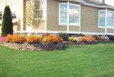 Flores Landscaping & Painting image 1