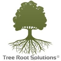Tree Root Solutions, LLC image 1