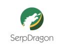 SerpDragon SEO logo