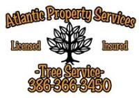 Atlantic Property Services image 1