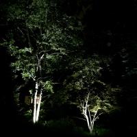 Moonscape Landscape Illumination, LLC image 7