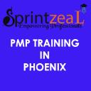 PMP Training in Phoenix logo
