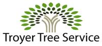 Troyer Tree Service image 1