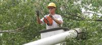 Troyer Tree Service image 2
