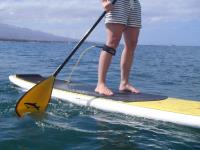 Stand-Up Paddle Surf School with Maria Souza image 2