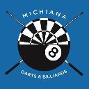 Michiana Darts & Billiards logo