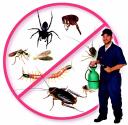 Detest Pests Pest Control logo