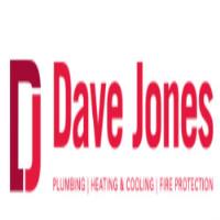 Dave Jones Inc. image 1