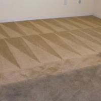 Celtic Carpet Cleaner image 3