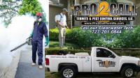 Pro2CaLL Termite & Pest Control – Clearwater image 4