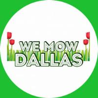 We Mow Dallas image 2