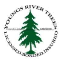 Youngs River Tree Service image 3