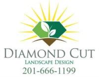 Diamond Cut Landscape Design image 1