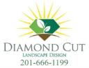Diamond Cut Landscape Design logo