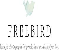 Free Bird Photography image 1