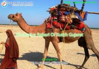 PANACHE TOURS | Travel agents in jaipur rajasthan image 5