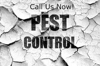 Asheville Pest Control image 1