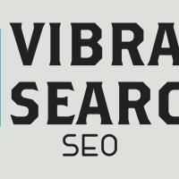 Vibrant Search SEO image 1