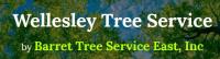 Barrett Tree Service of Wellesley image 4