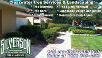 Silverson Tree Services & Landscaping - Clearwater image 2