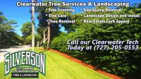 Silverson Tree Services & Landscaping - Clearwater image 3