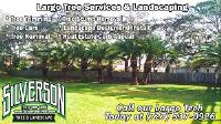 Silverson Tree Service & Landscaping image 1