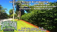 Silverson Tree Service & Landscaping image 2