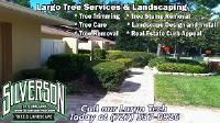 Silverson Tree Service & Landscaping image 3