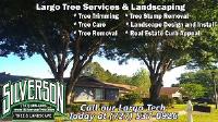 Silverson Tree Service & Landscaping image 4