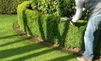 Alpine Lawn Care and Landscaping Solutions image 3