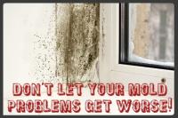 Mold Removal Charlotte image 2