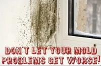 Mold Removal Pros Baltimore image 2