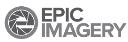 Epic Imagery Corporate logo