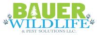 Bauer Wildlife & Pest Solutions LLC image 1