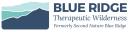 Blue Ridge Therapeutic Wilderness logo