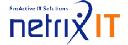 Netrix IT, LLC logo